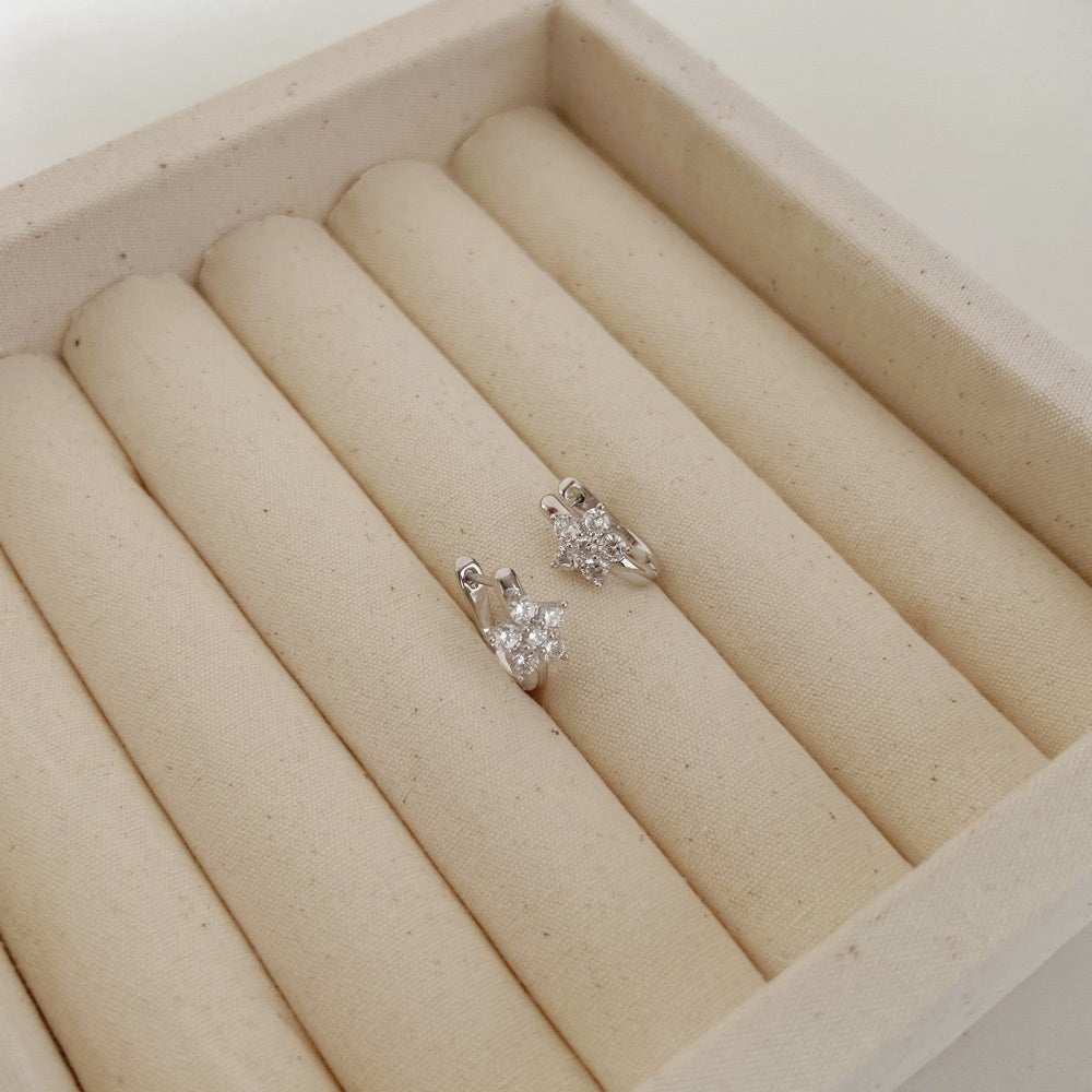 Design Ins Style Light Luxury Earrings For Women