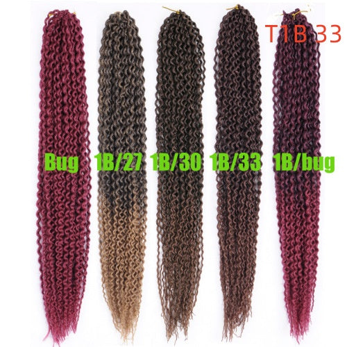 Wigs Long Curly Hair Black Wig Braids