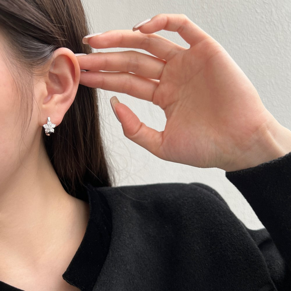 Design Ins Style Light Luxury Earrings For Women